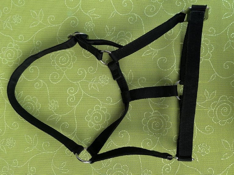 Halfter ; Gr. VB / COB , schwarz