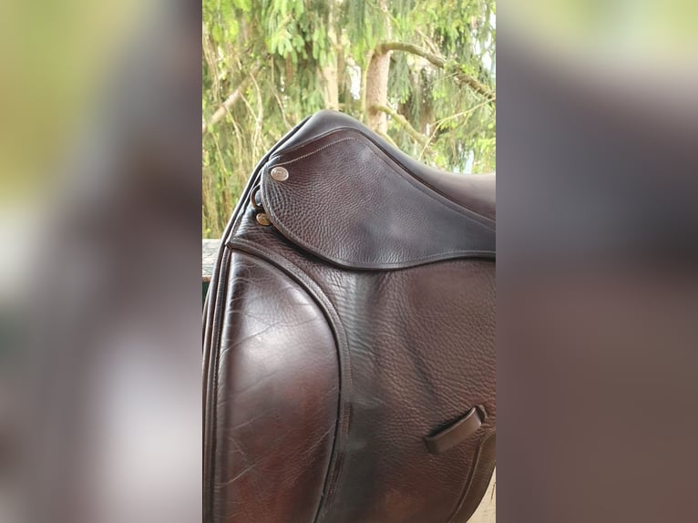 HARRY DABBS Dressursattel dunkelbraun VERSAND + PROBE
