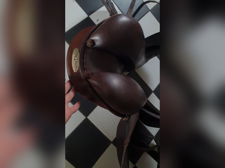 HARRY DABBS Dressursattel dunkelbraun VERSAND + PROBE