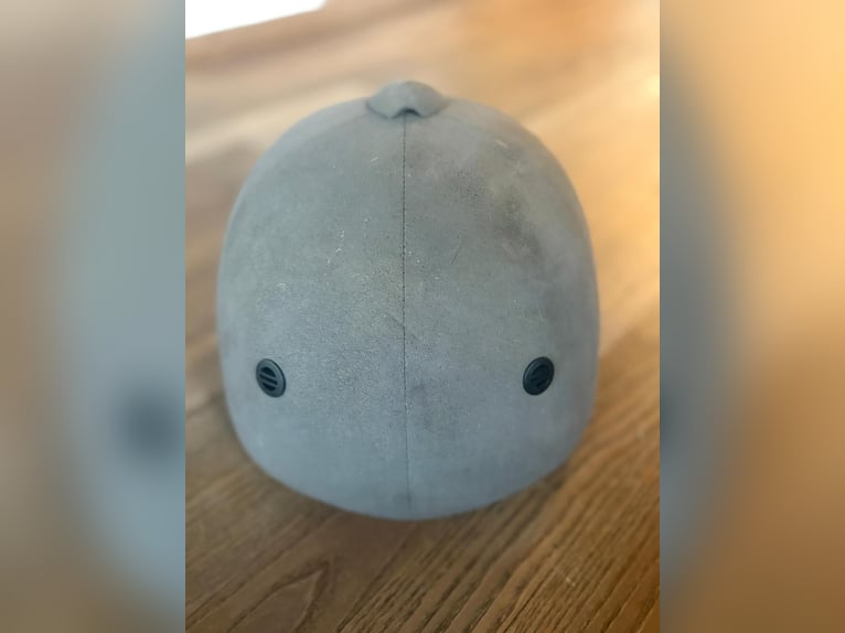 Helm Größe 57 unbenutzt