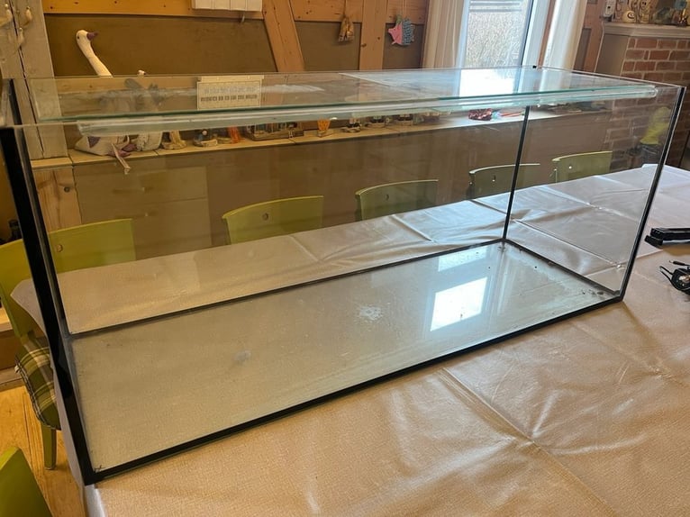Hennig FMS Trense mit Aubenhausen Stirnriemen