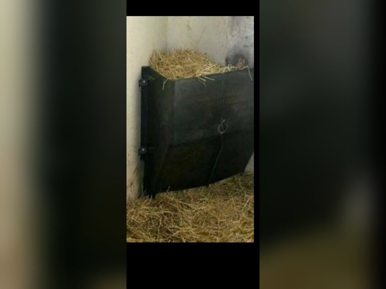 Heu, Rundballen, erster Schnitt, staubarm, fruktanarm