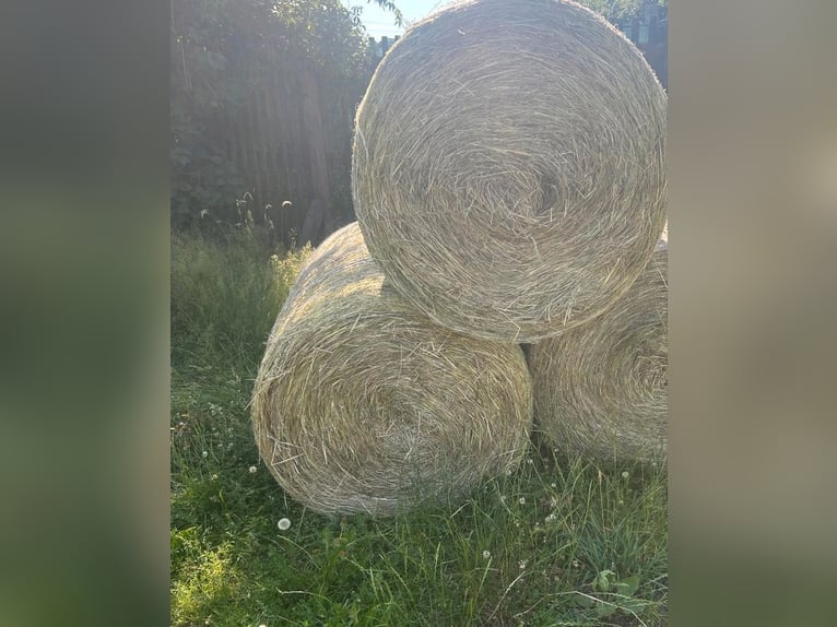 Heu Rundballen