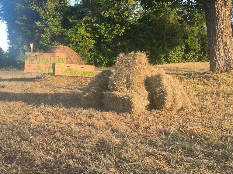 Heuballen - Heu