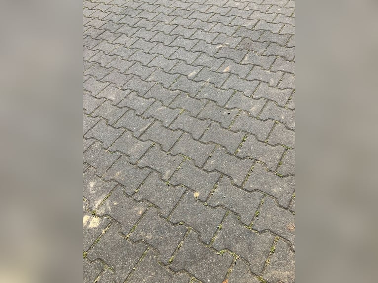 Heuballen/ Rundballen