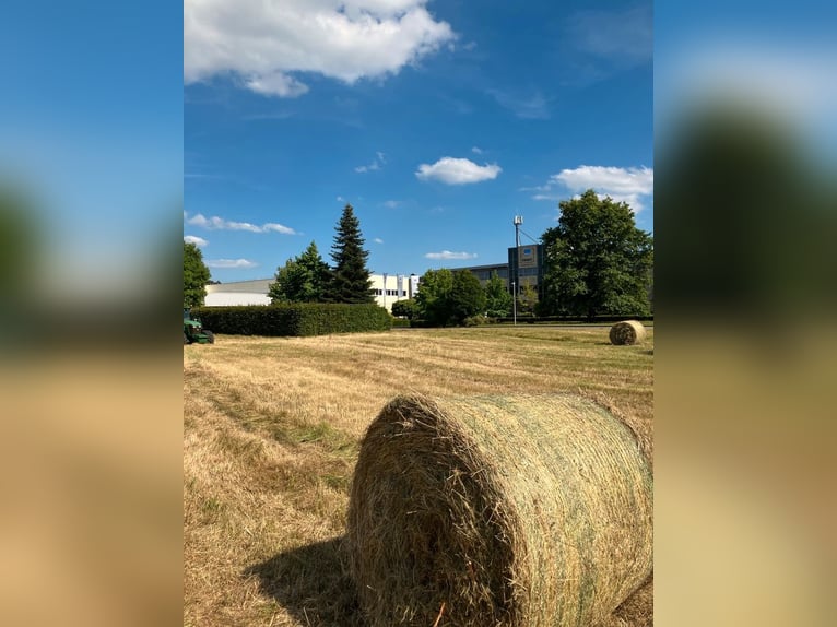 Heuballen/ Rundballen