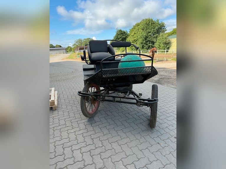 Heubedampfer Nuveq Expert Pro