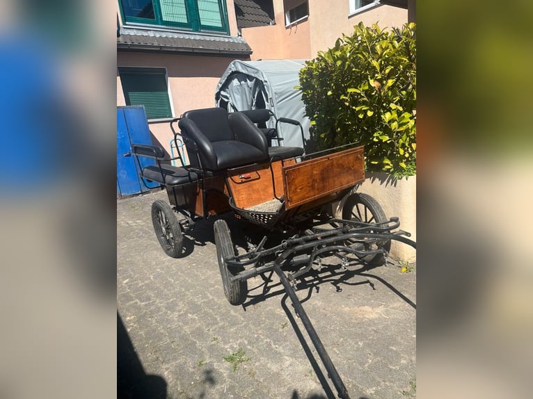 Heubedampfer Nuveq Expert Pro