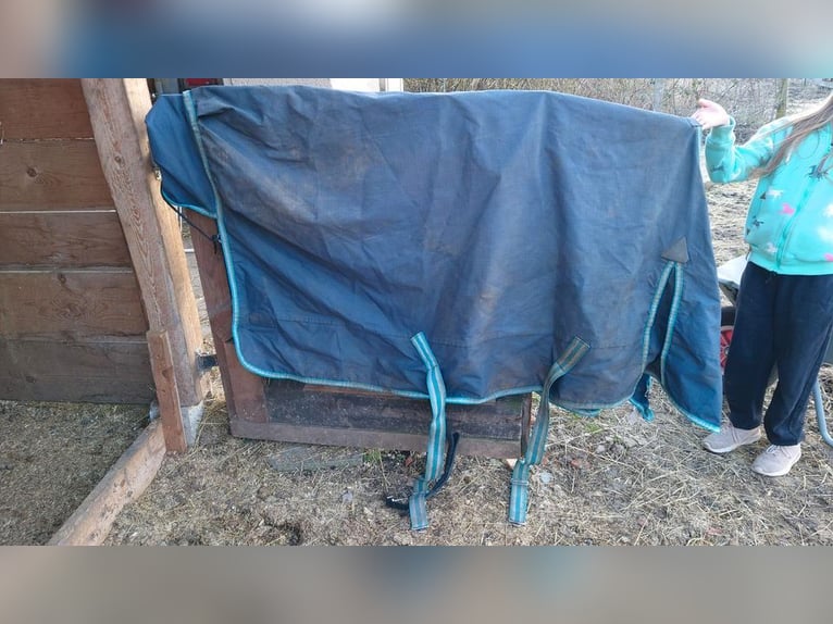 Horseware Stallgamaschen Pony S