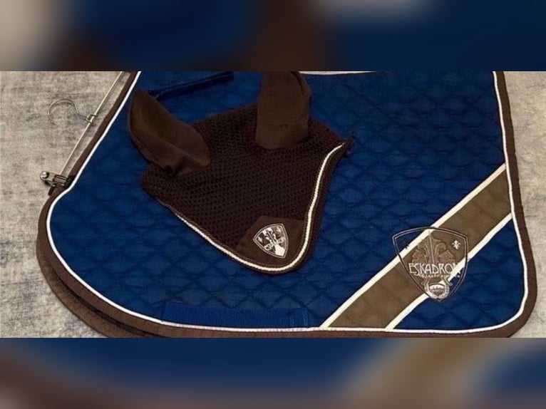 ⚜️ HV-Polo Schabracke VS ⚜️