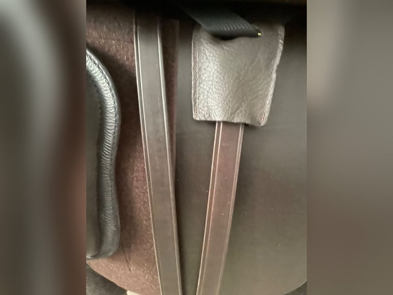 Iberosattel Cordoba Comfort 18“ – neuwertig – Traumzustand
