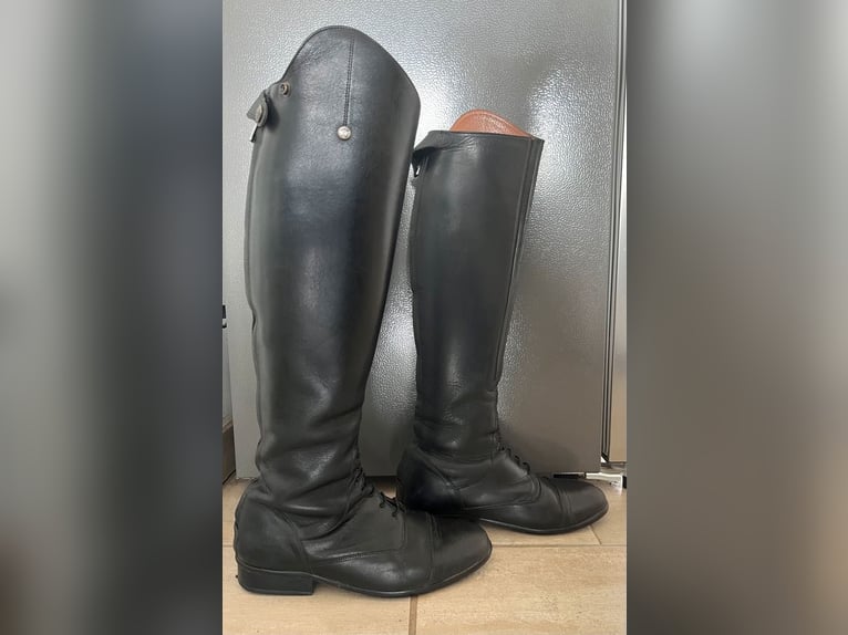 Kavalkade Reitstiefel "Maximus"