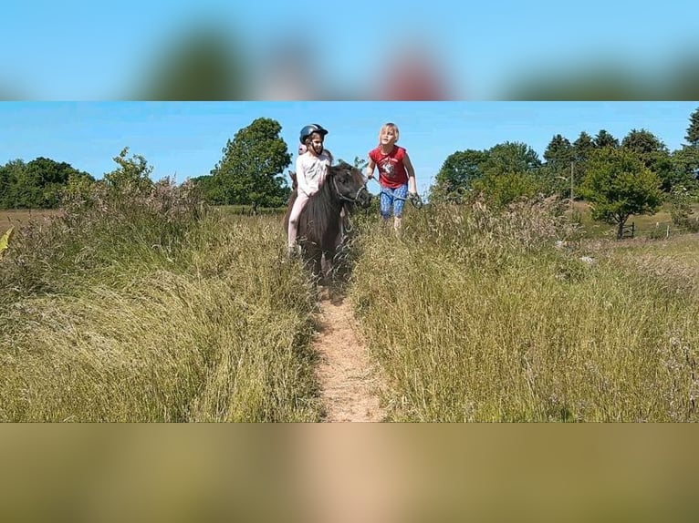 Kinder Reitschule Ponys Pferde Reitunterricht