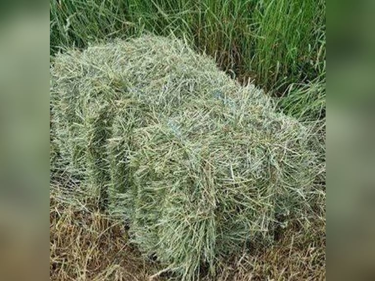 Kleine Heuballen