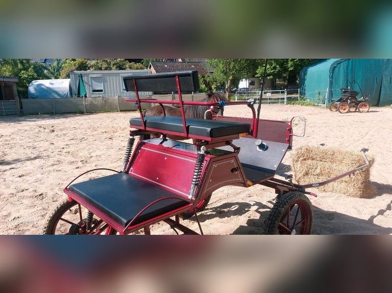 Kutsche / Buggy von Maier / Modell K004