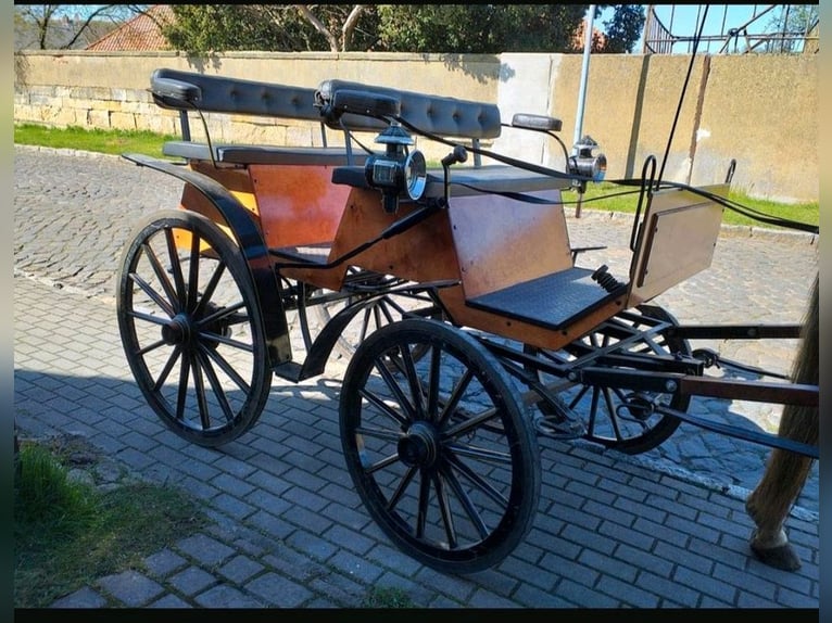 Kutsche Wagonette/Grosspferde 1 und 2 spännig, Scheibenbremsen