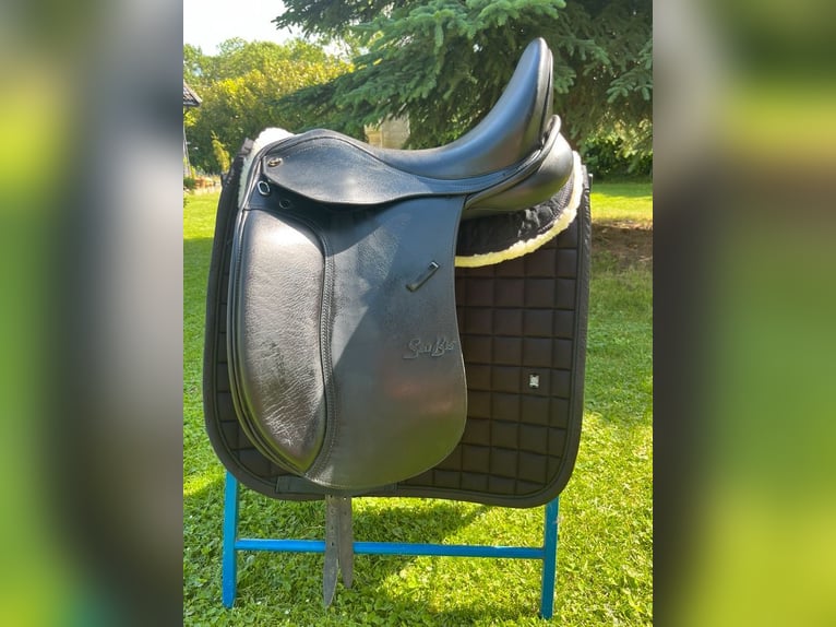Kutsche Wagonette/Grosspferde 1 und 2 spännig, Scheibenbremsen