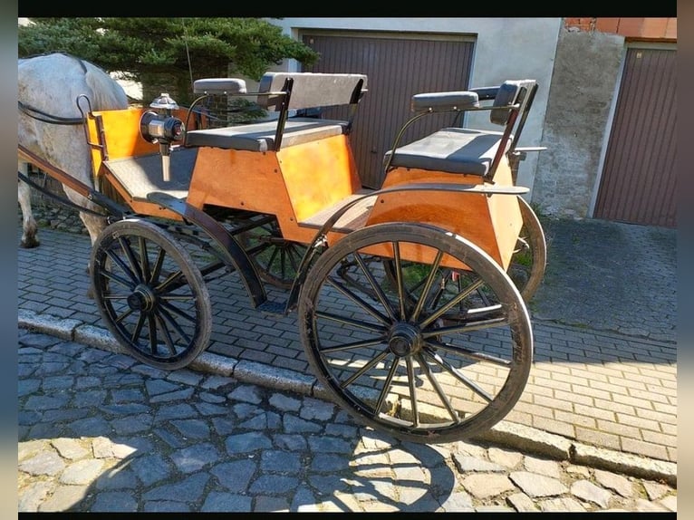 Kutsche Wagonette/Grosspferde 1 und 2 spännig, Scheibenbremsen