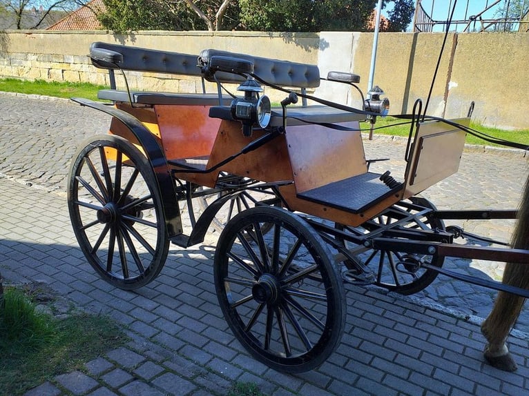 Kutsche Wagonette/Grosspferde 1 und 2 spännig, Scheibenbremsen