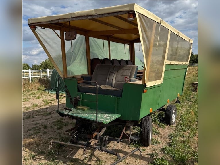 Kutsche Wagonette/Grosspferde 1 und 2 spännig, Scheibenbremsen