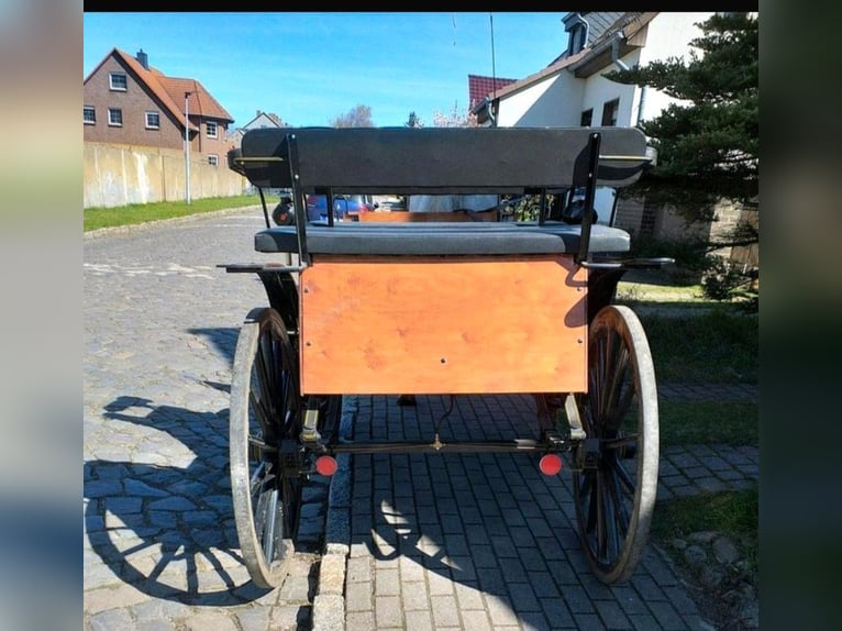 Kutsche Wagonette/Grosspferde 1 und 2 spännig, Scheibenbremsen