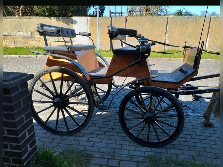 Kutsche Wagonette/Grosspferde 1 und 2 spännig, Scheibenbremsen