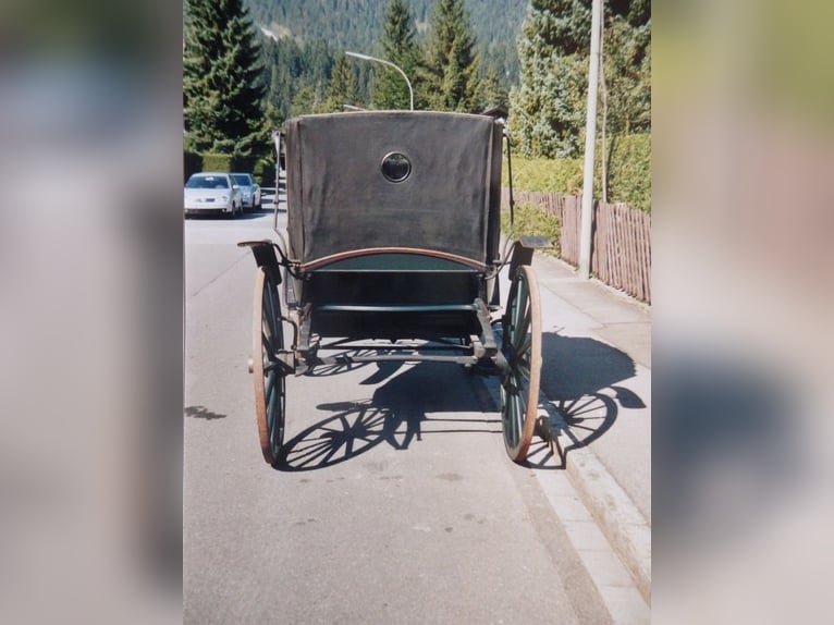 Landauer Kutsche Pferde hist. Schiffslandauer nur bis 28.06.2026