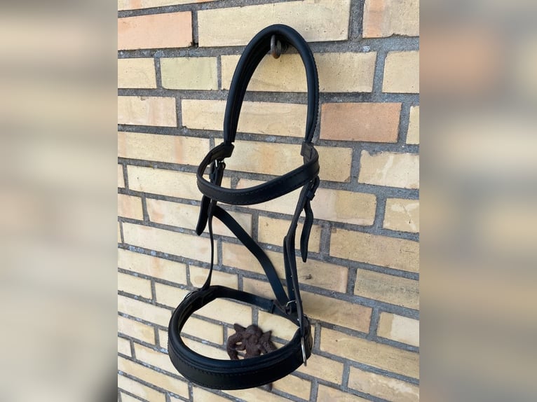 Magic tack Trense Harmony, Gr VB