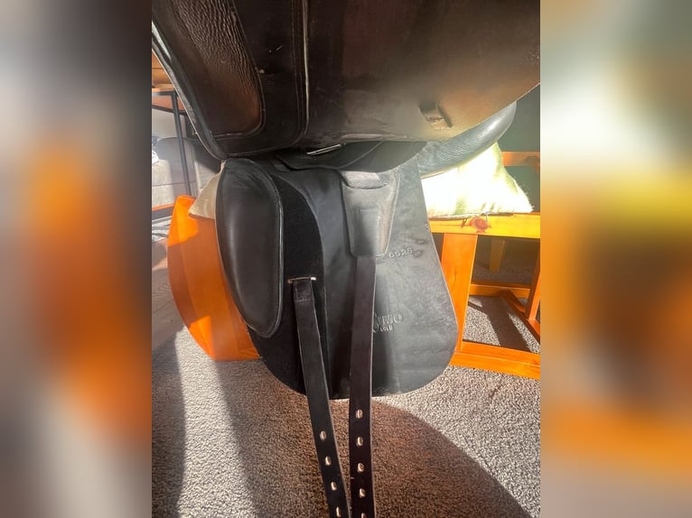 Massimo Dressursattel 16,5 Zoll - fast wie neu