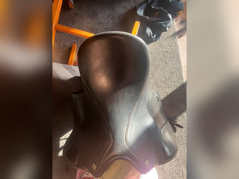 Massimo Dressursattel 16,5 Zoll - fast wie neu