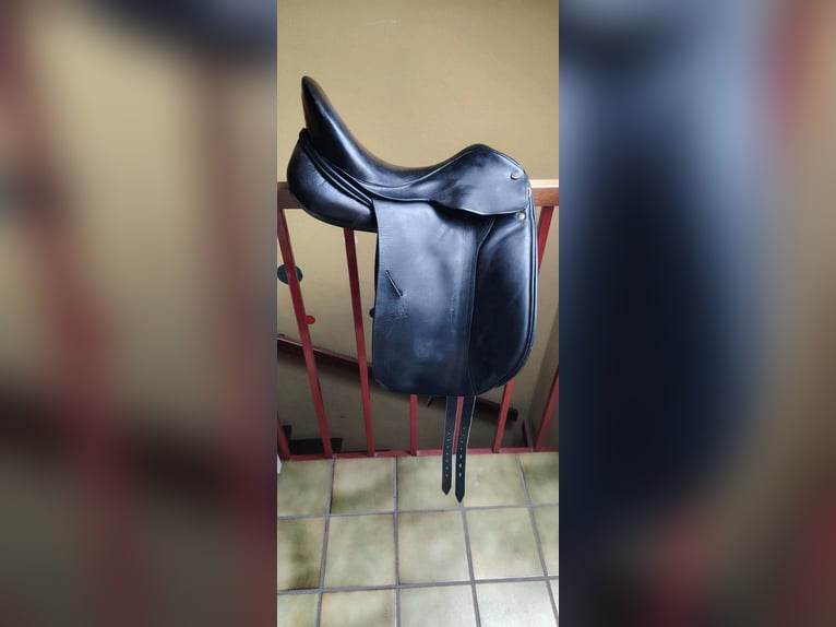 Massimo Dressursattel 16,5 Zoll - fast wie neu