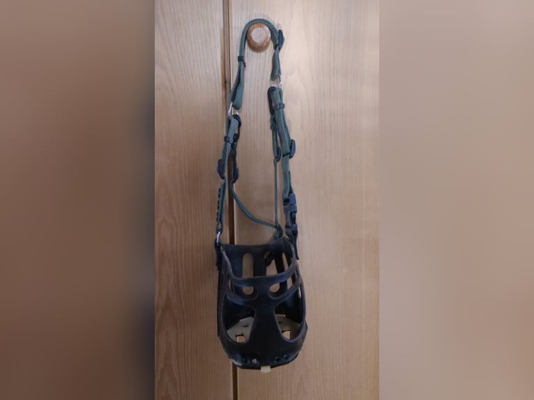 Maulkorb/ Fressspere Shetty Größe S, Schwarz-Grün