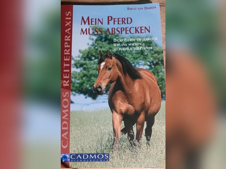 Mein Pferd muss abspecken Buch