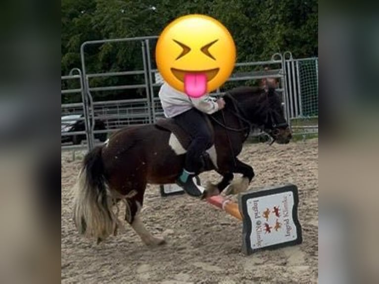 (Mensch sucht Pferd) Für eine Reitbeteiligung