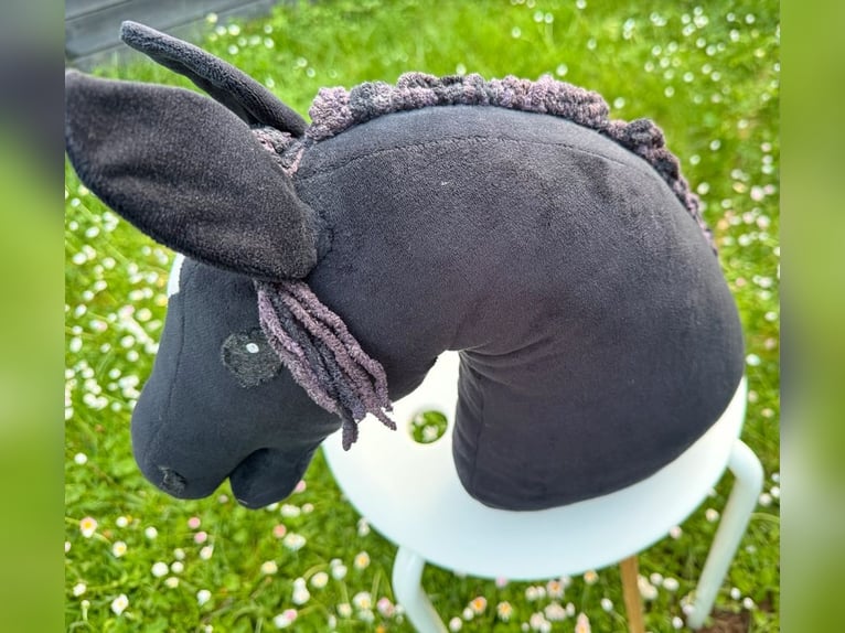 (Mensch sucht Pferd) Für eine Reitbeteiligung