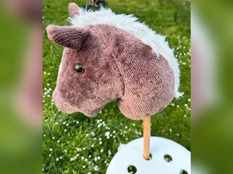 (Mensch sucht Pferd) Für eine Reitbeteiligung