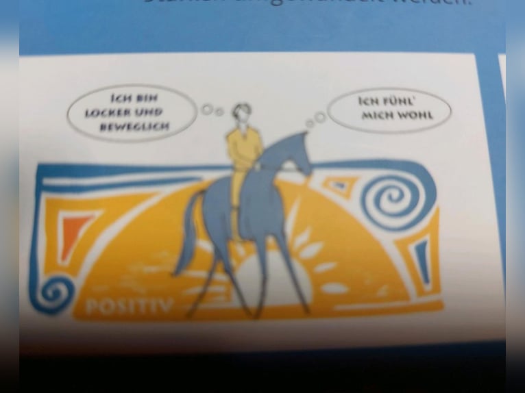 Mental - Training für Reiter Buch