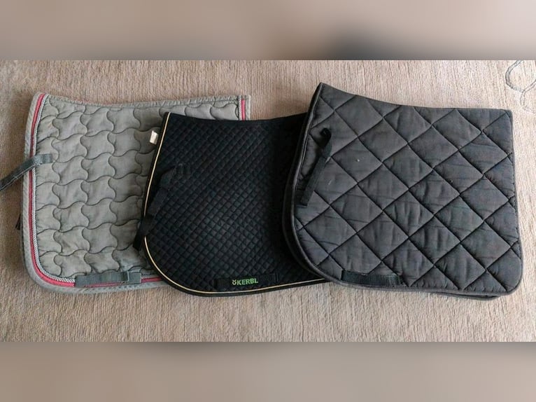 Metall Sporen inkl Schoner u Lederriemen