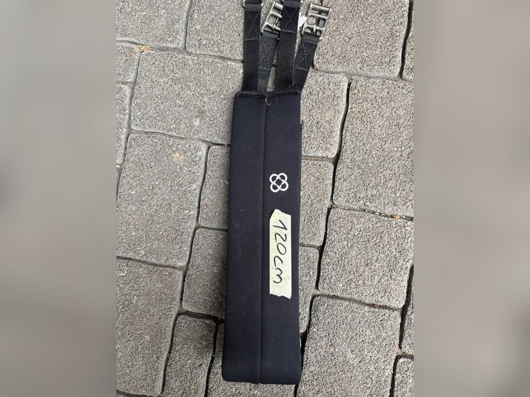 Metall Sporen inkl Schoner u Lederriemen