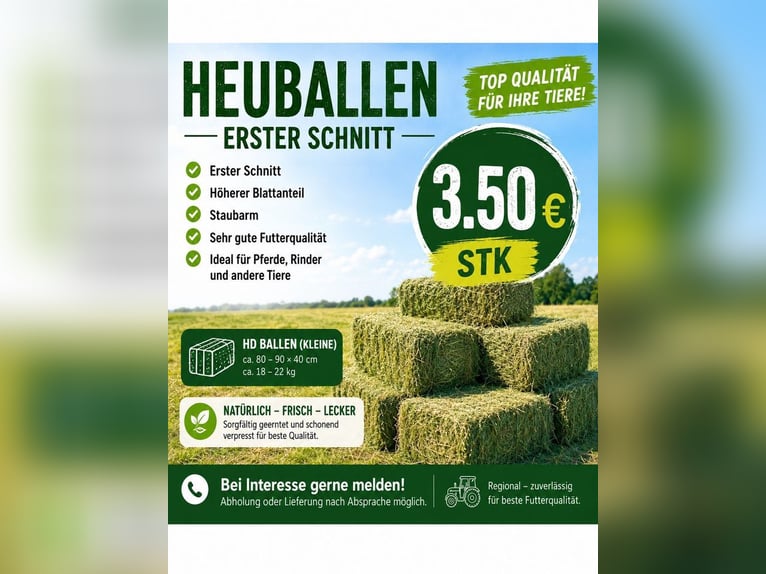 Metall Sporen inkl Schoner u Lederriemen