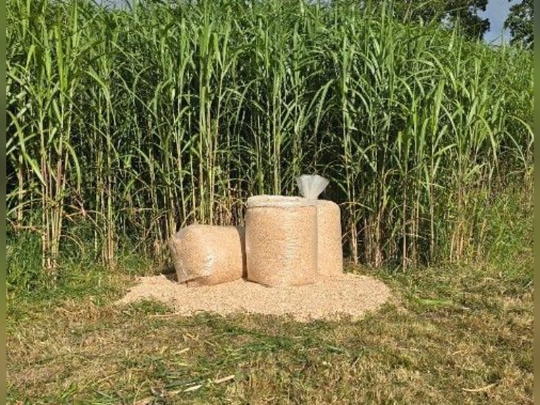 Miscanthus-Einstreu für Pferde und Kleintiere