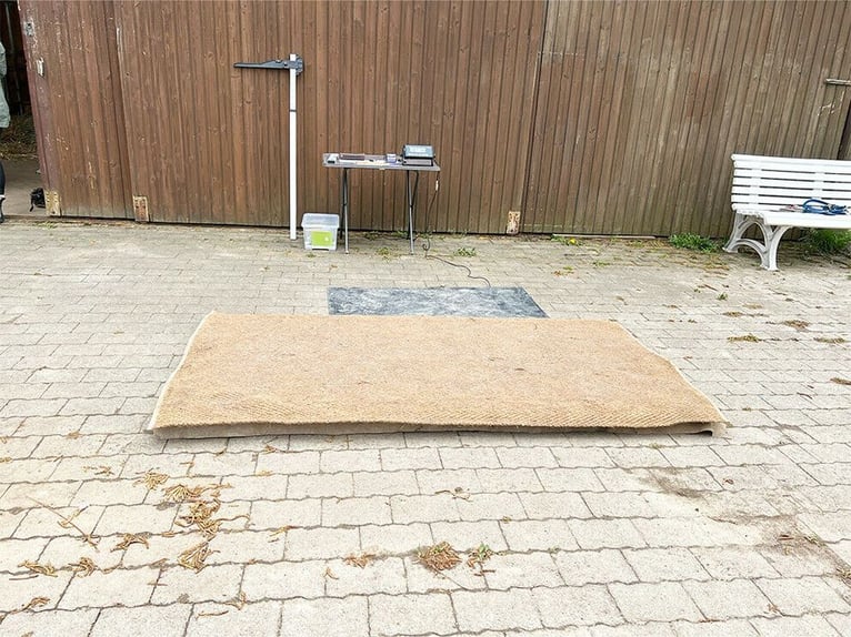 MOBILE PFERDEWAAGE, Pferde wiegen, Stockmaß, digitales Foto