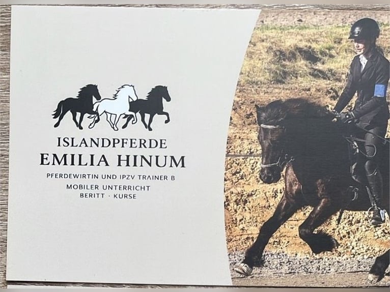 Mobiler Unterricht Islandpferde