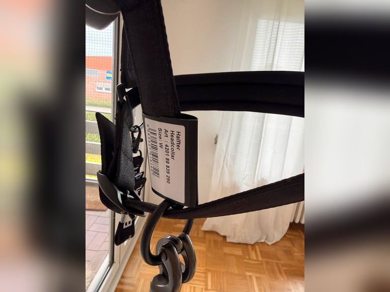 **NEU** Eskadron Halfter & Strick Dynamic Sparkle Schwarz