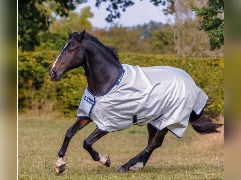 Neue! Dressurschabracke von Equitex