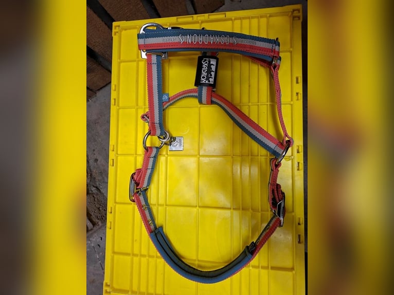 NEUES Eskadron Halfter