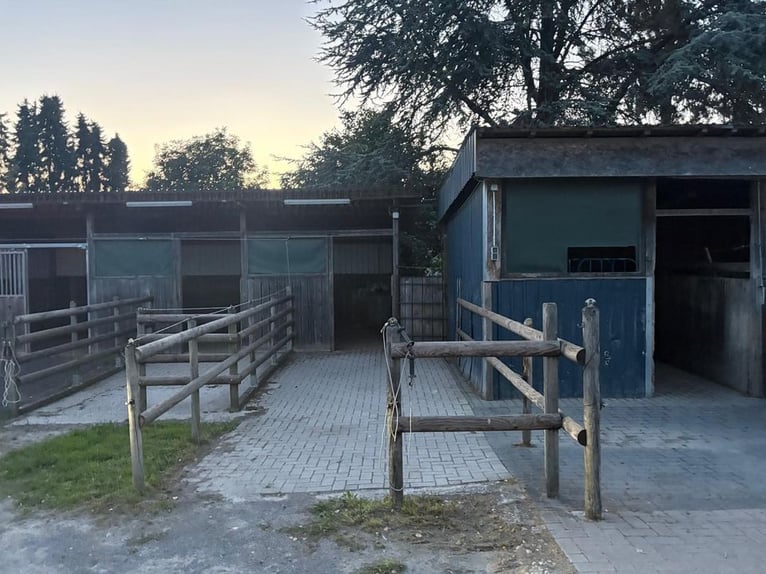 Paddockbox / Offenstall für Stuten frei