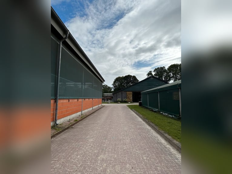 Paddockboxen in 25482 Appen
