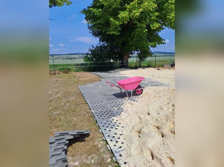 Paddockplatten/Kunststoffplatten von Pegasus Paddock