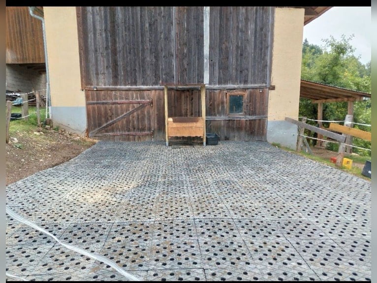 Paddockplatten/Kunststoffplatten von Pegasus Paddock